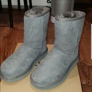 NEW Grey Uggs